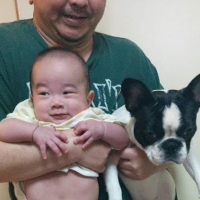 飛熊のカバー写真