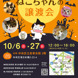 ねこざんまい譲渡会@東日本橋