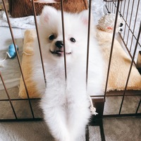 くぅ