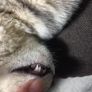 抜けるまでもうちょいかかりそう。