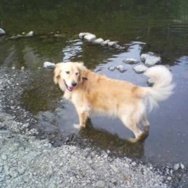 jimmymerryのカバー写真