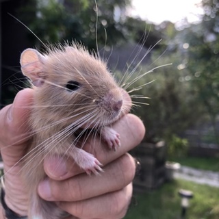 募集終了しました。皆様の優しい気持ちに感謝です！