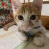 の写真