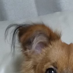 「元気です！」サムネイル2