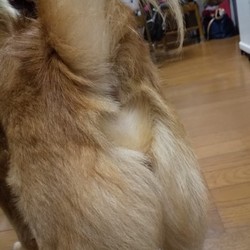 「元気です！」サムネイル3