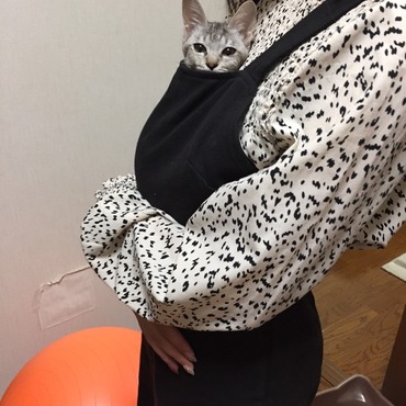 甘えん坊