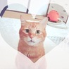yuccoco7