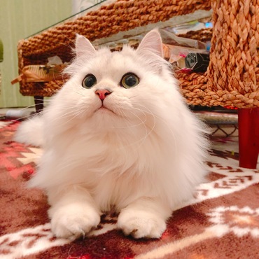 の写真