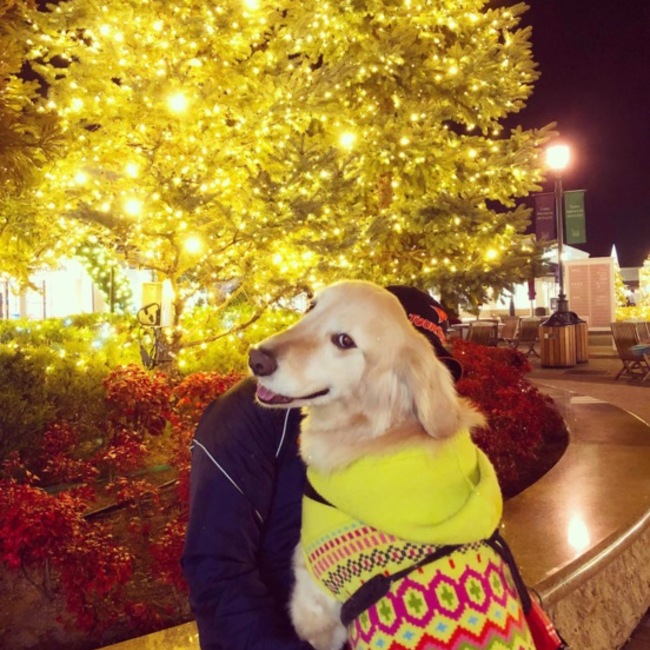 野風nokazeのカバー写真