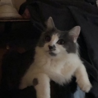 ひより