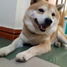 ぽーたー
