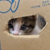 の写真