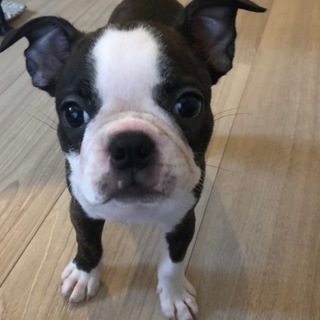 たくさんのご応募ありがとうございました