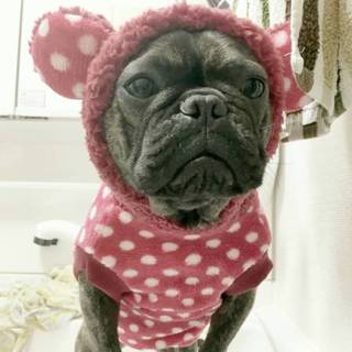 本当にありがとうございました！