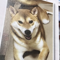 まる。