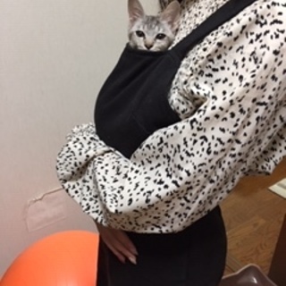 福岡から来たフクちゃん