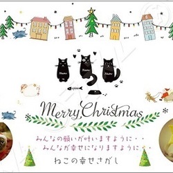 大阪市北区*子猫 &大人ねこの幸せさがし譲渡会 サムネイル3