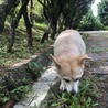 の写真