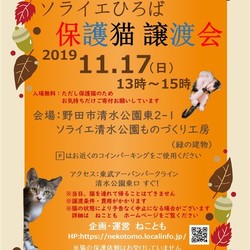 ソライエひろば　保護猫譲渡会 サムネイル1