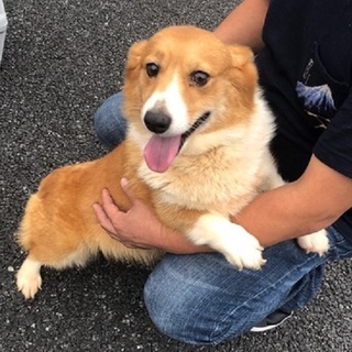 人が大好き、性格花丸の癒し系