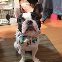 coco