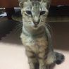 ヒロシです。