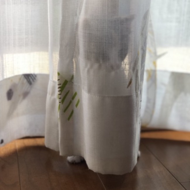 wgjkc224のカバー写真