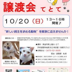 犬猫譲渡会『てとて』