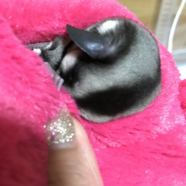 りえ0722のカバー写真