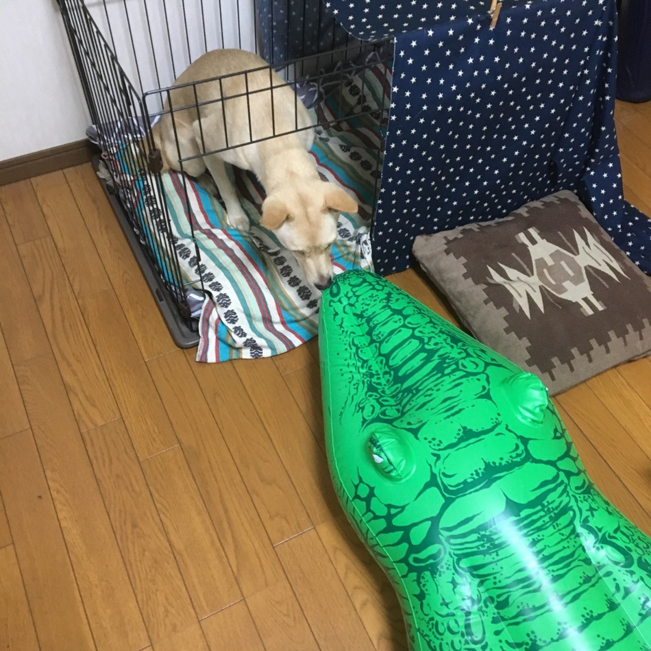 気良々(きらら)のカバー写真