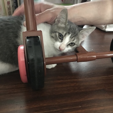 少しずつ慣れてきました。
