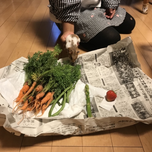 ちょーうにのカバー写真