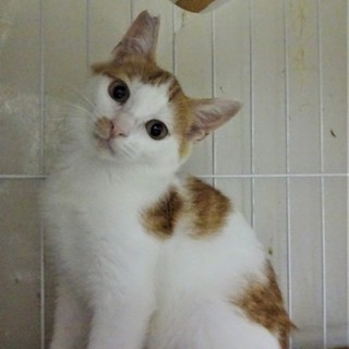 修行中のマレ君、マーシュちゃんと一緒に