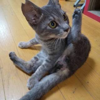 瞬殺！会った瞬間メロメロに