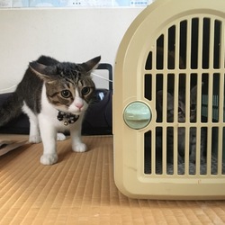 はじめまして