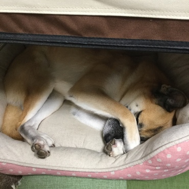 の写真