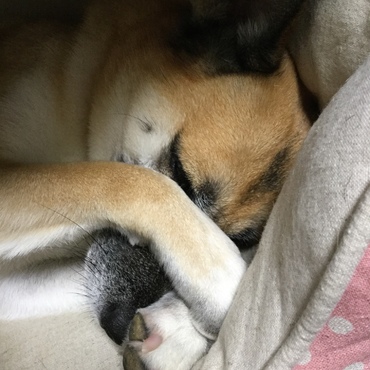 の写真