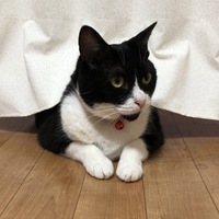 くぅ
