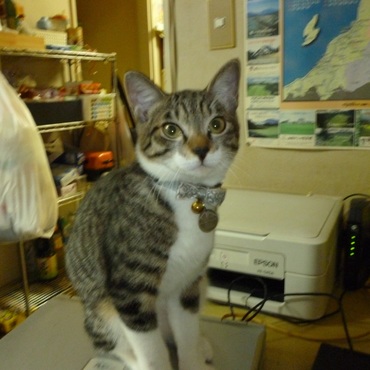 ね～遊ぼうよ！