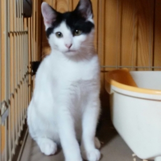 甘えん坊な風くん☆