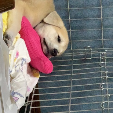 くつろいでます ^_^