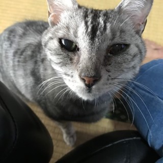 甘えたちゃんの熟熟女 にがり