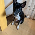 可愛がって頂ける方