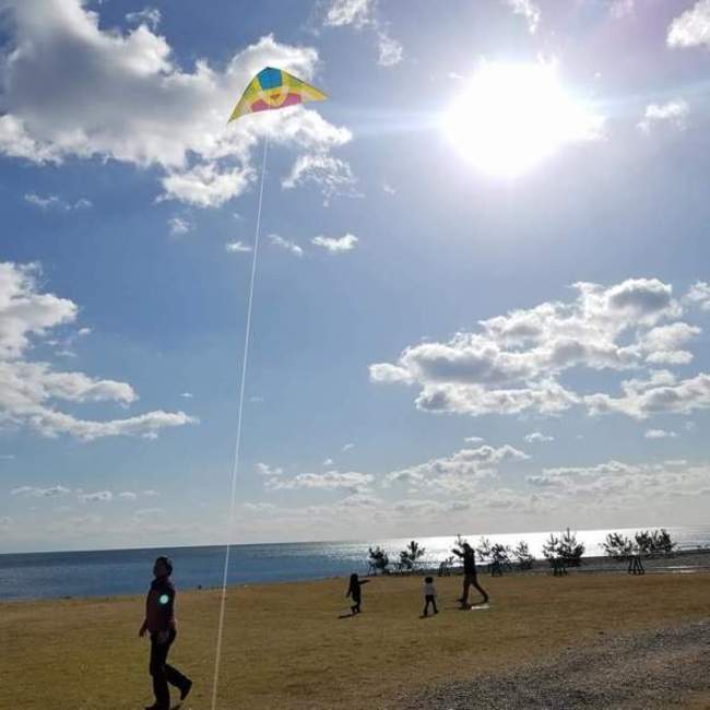 ミスキャサリンのカバー写真