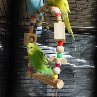 ありがとうございました。