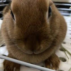 お迎えしました！