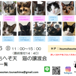 いつもへそ天　猫の譲渡会 サムネイル1