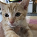 可愛いミーたん❤️