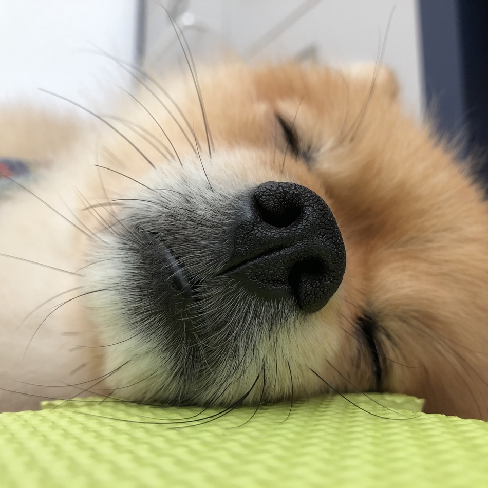 功晴（よしはる）のカバー写真