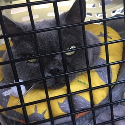 季節の変わり目 健康管理